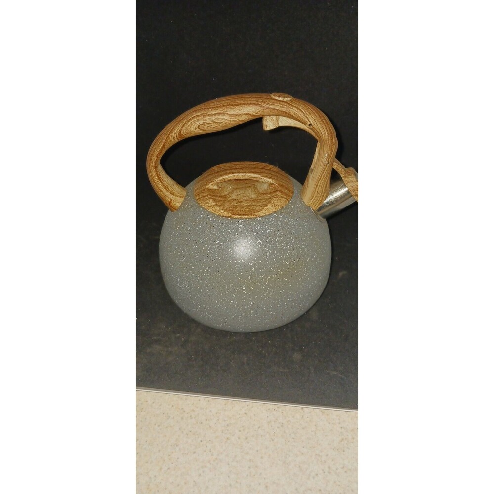 POLIVIAR Tea Kettle, 2.7 Quart Teapot Loud Whistling Anti-Rust, Gray  AWESOME !